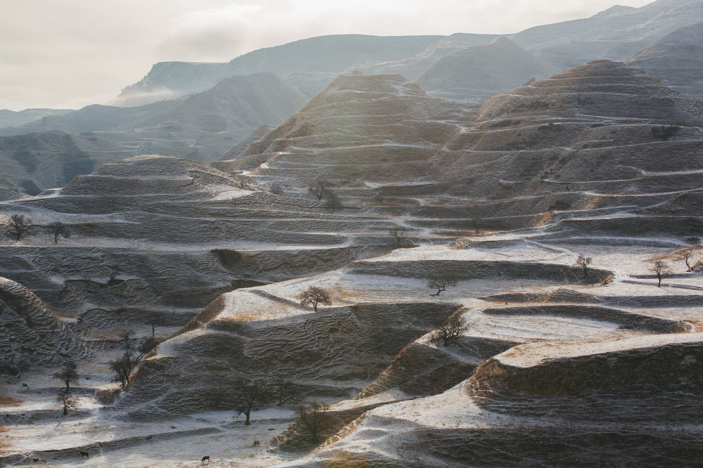 Магия утреннего света