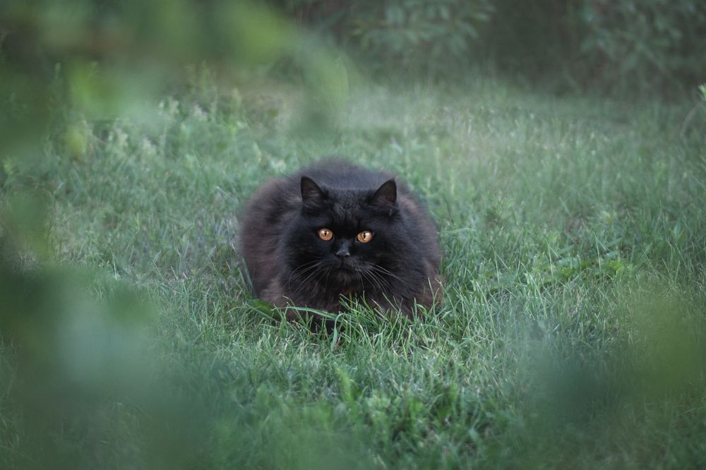 Photograph by Динара Зуйкова