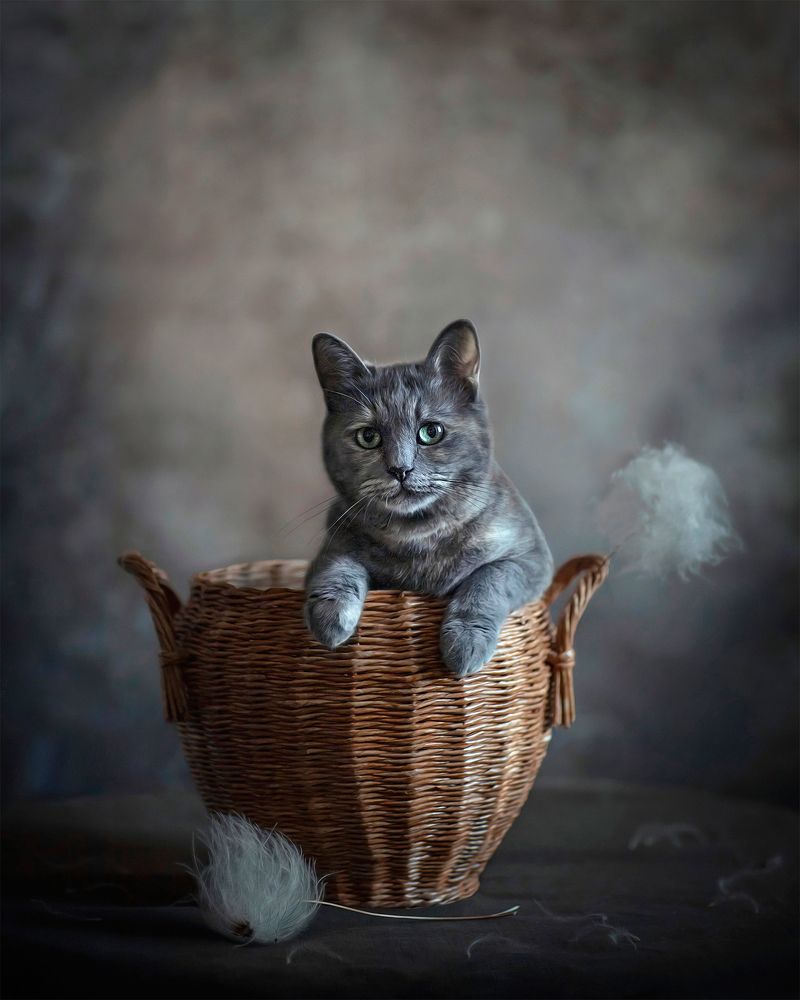 Photograph by Татьяна Самойлова