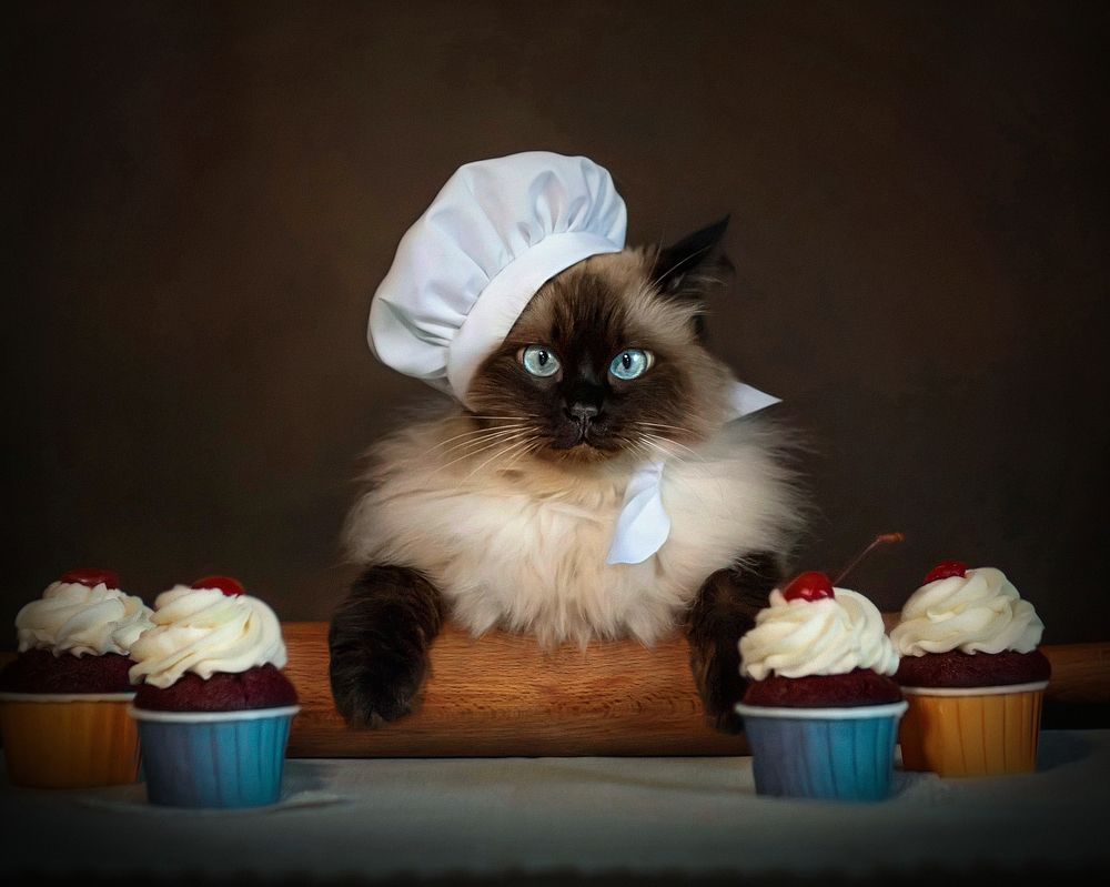 Photograph by Татьяна Самойлова