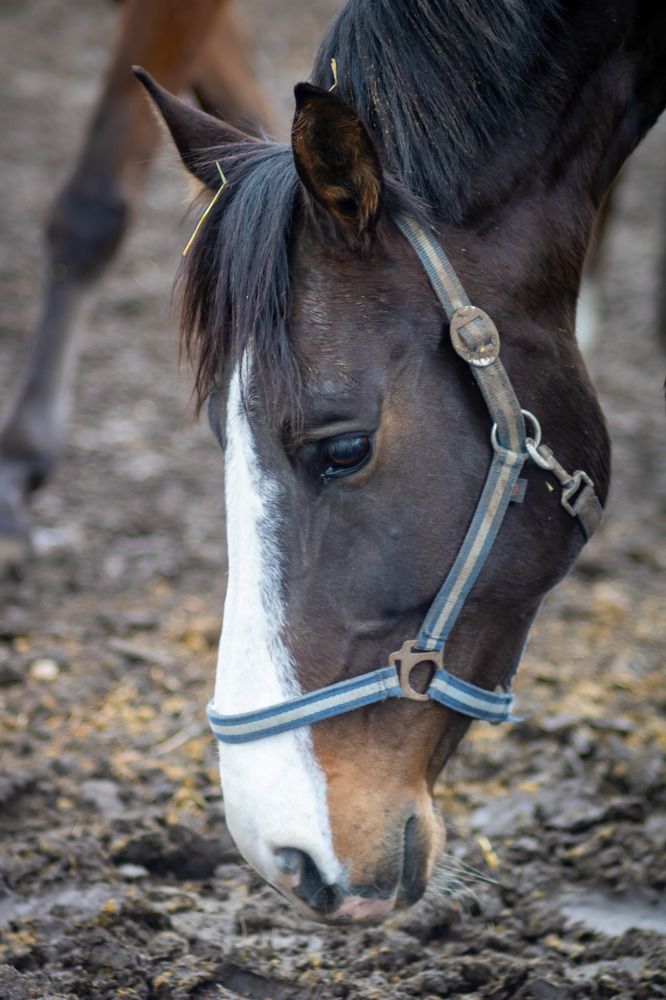 Photograph by Ralica Kitova