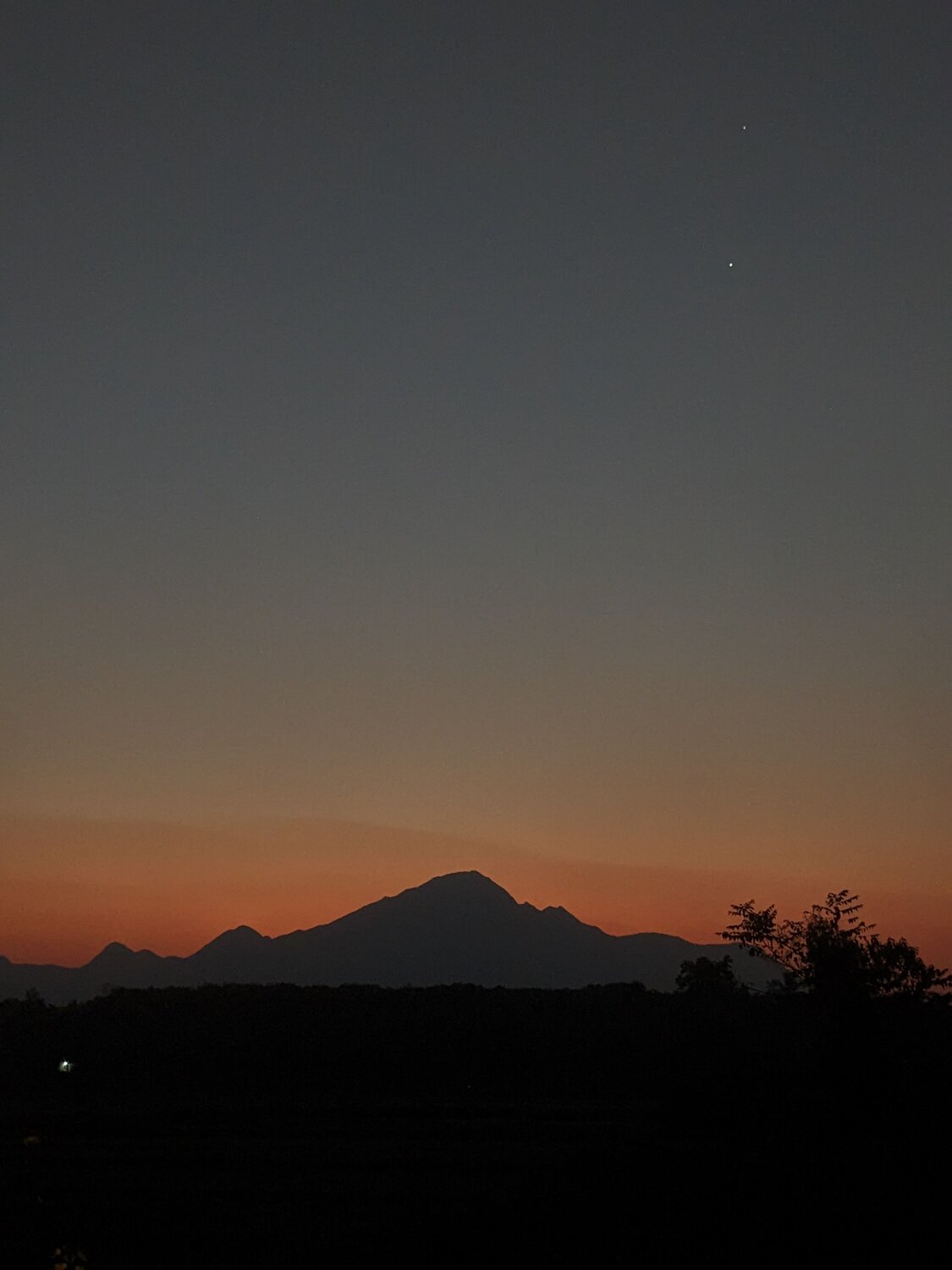 Photo #8999135