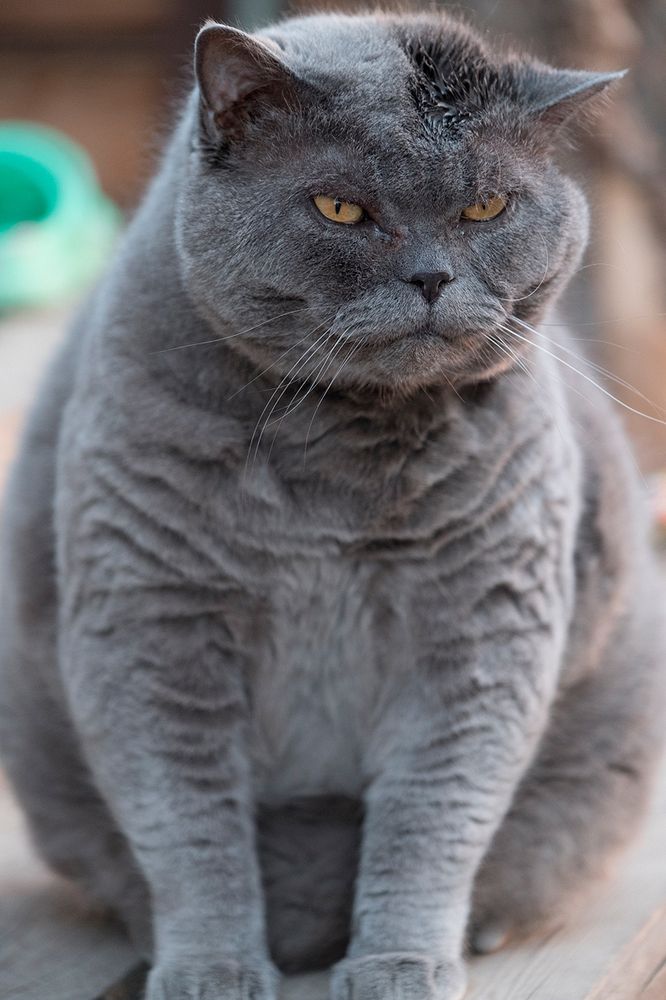 Photograph by Ольга Челдыкова