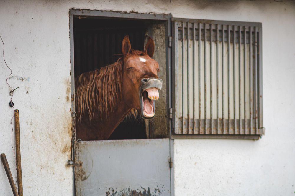 Photograph by Ralica Kitova