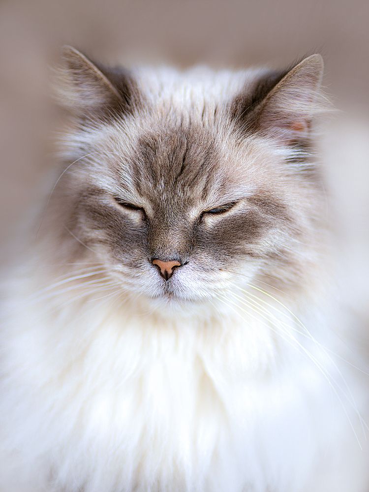 Photograph by Тимохина Юлия