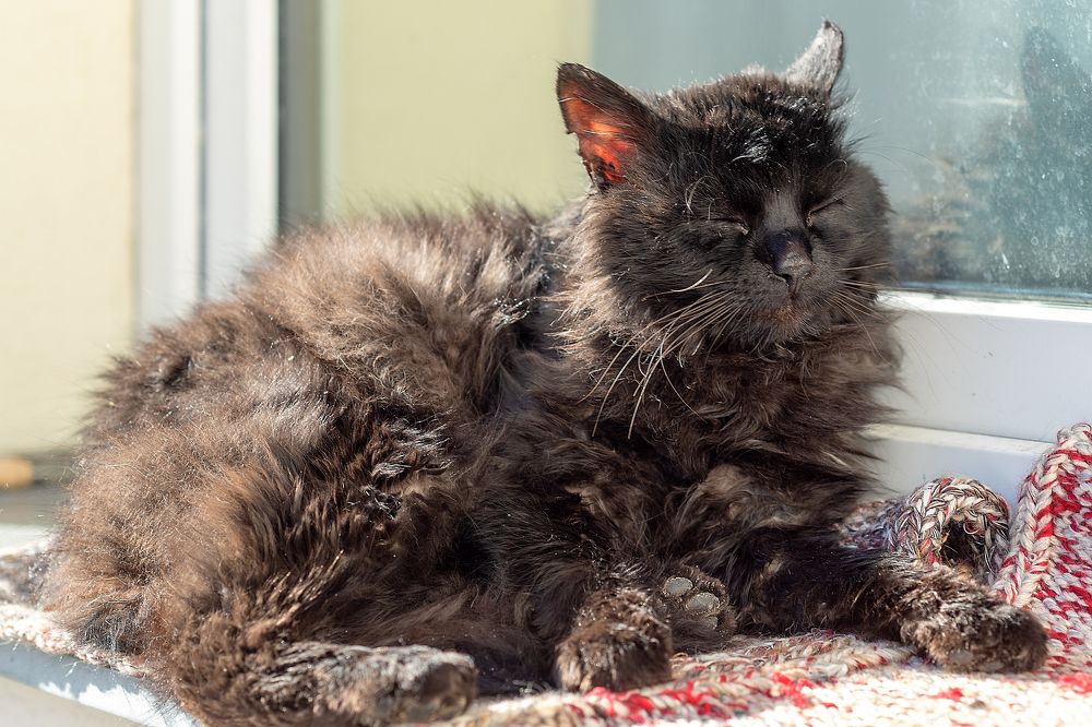 Photograph by Александр Клиновский