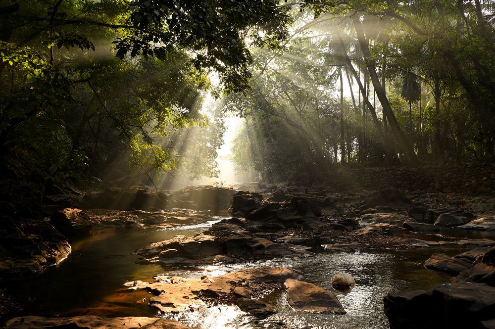 Photograph by Aniket Gurav