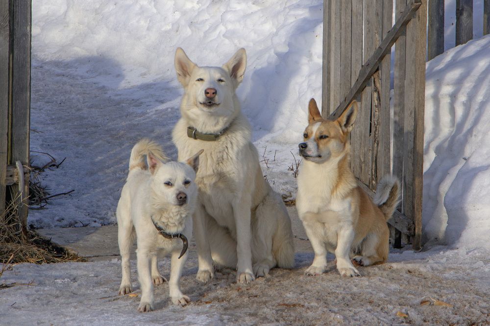Photograph by Анастасия Северюхина