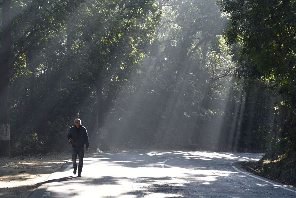 Photograph by Rajesh Kashyap