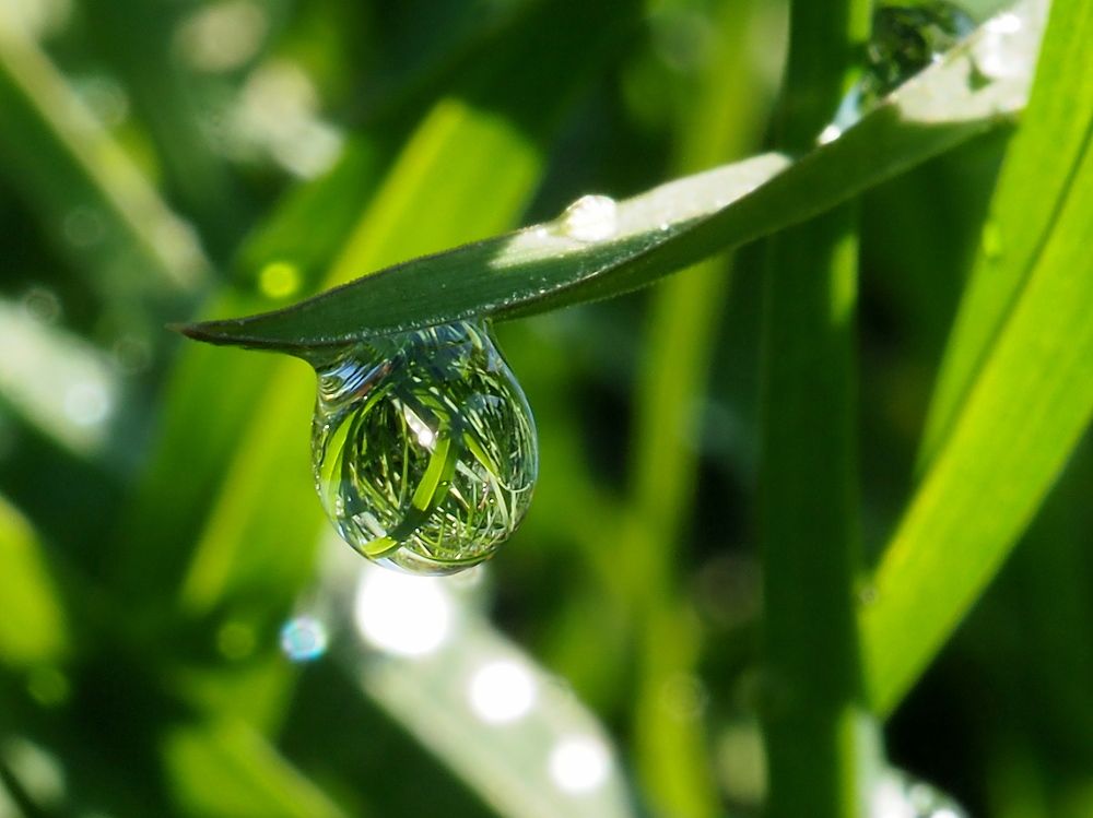 Photograph by Елена Харитонова