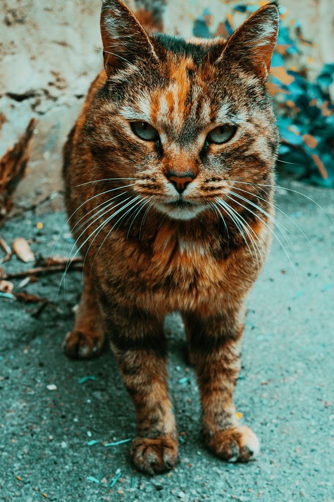 Photograph by Никита Орехов