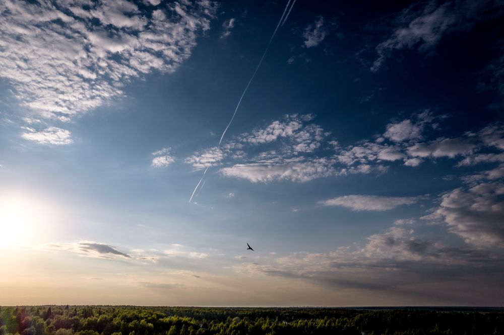 Photograph by Евгений Порсов