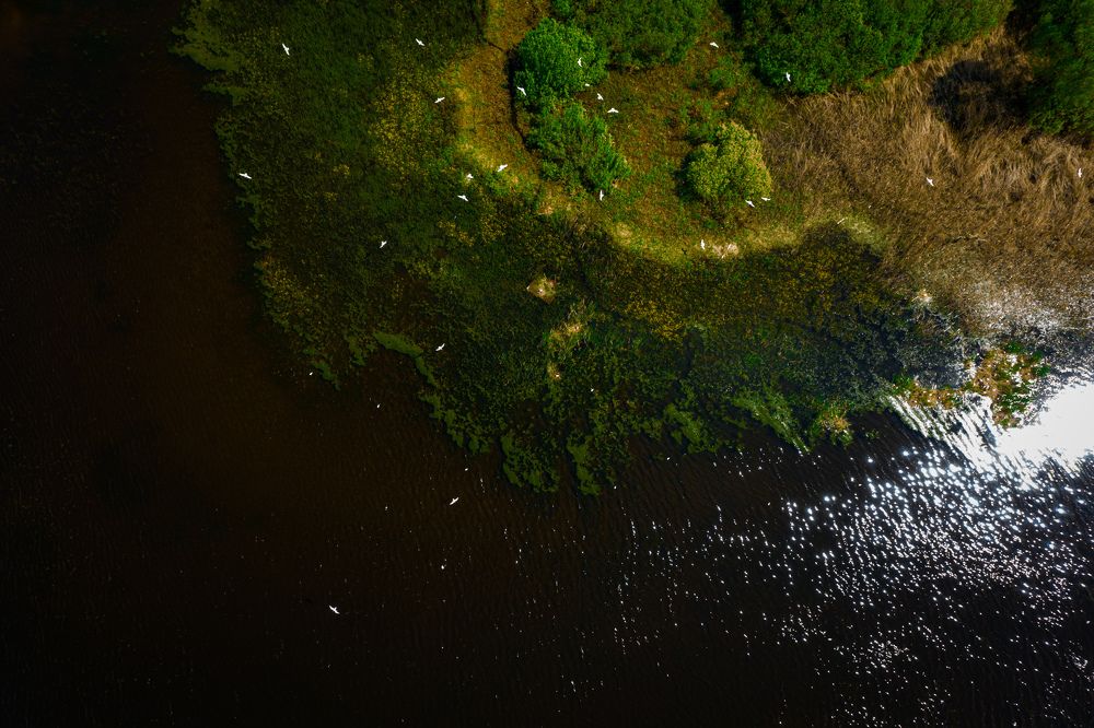 Photograph by Евгений Порсов