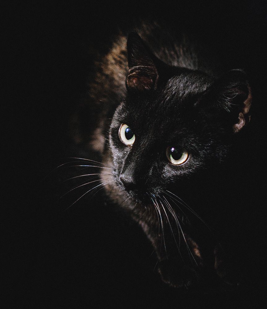 Photograph by Тимохина Юлия