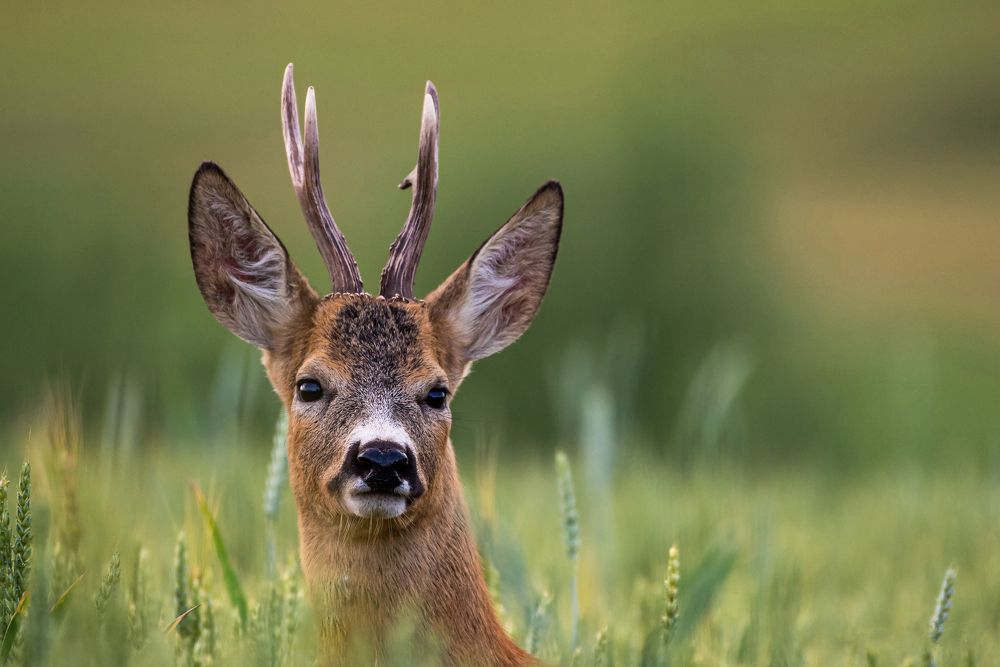 Photograph by levi bagy