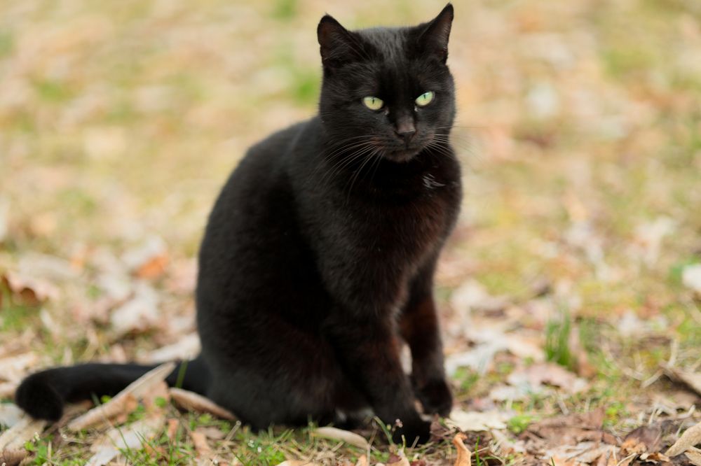 Photograph by Irnara Seidali