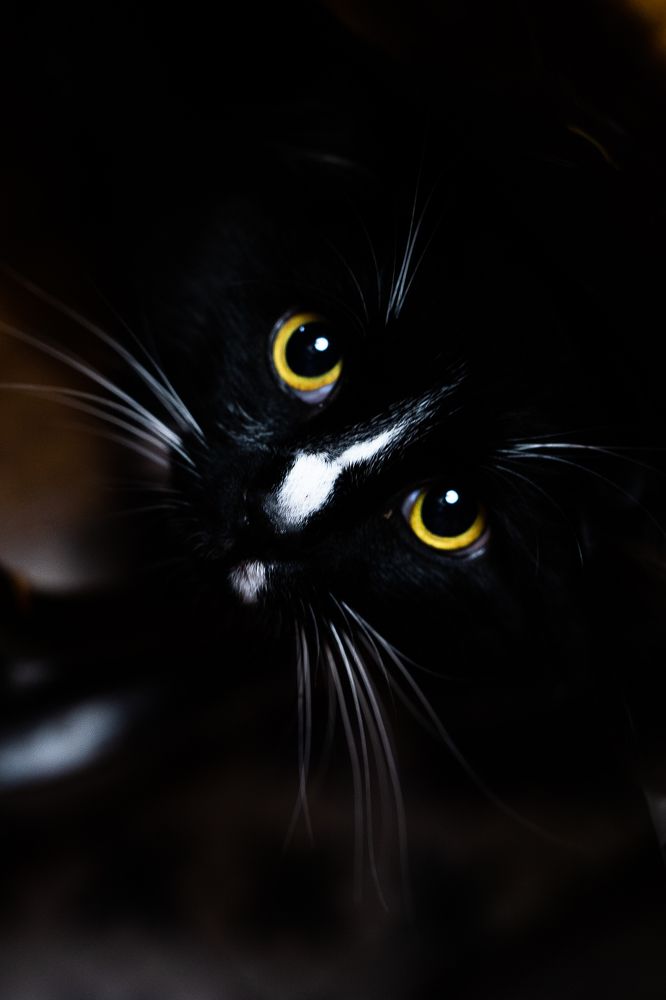 Photograph by Юлия Брежнева