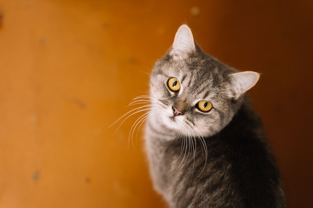 Photograph by Юлия Брежнева