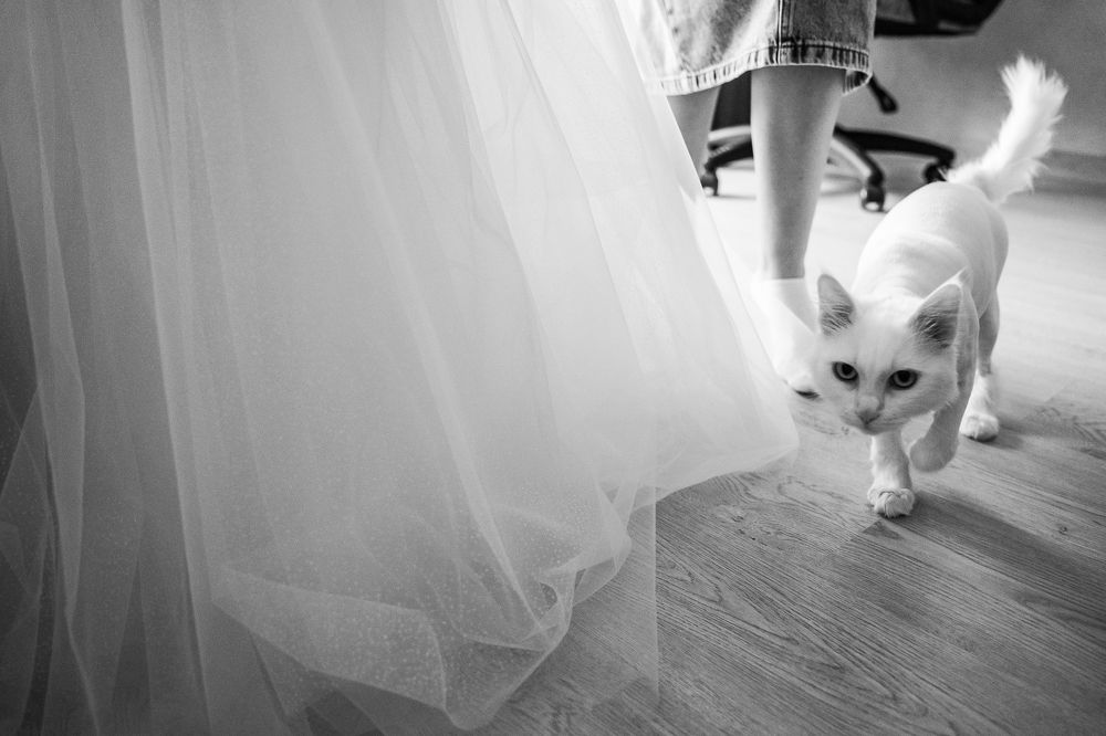 Photograph by Юлия Брежнева