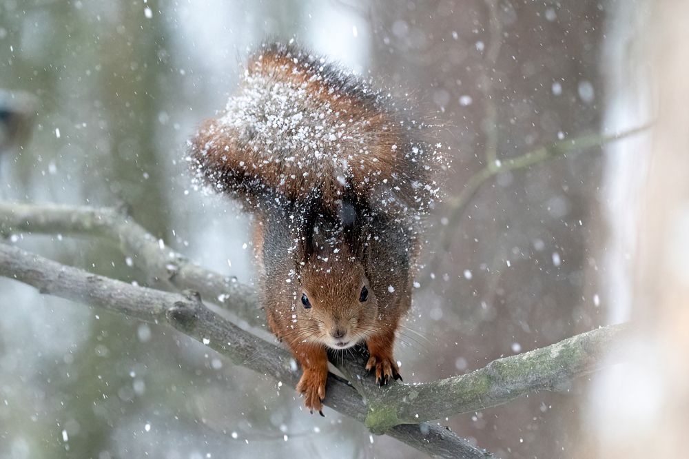 Photograph by Viktor Makarov