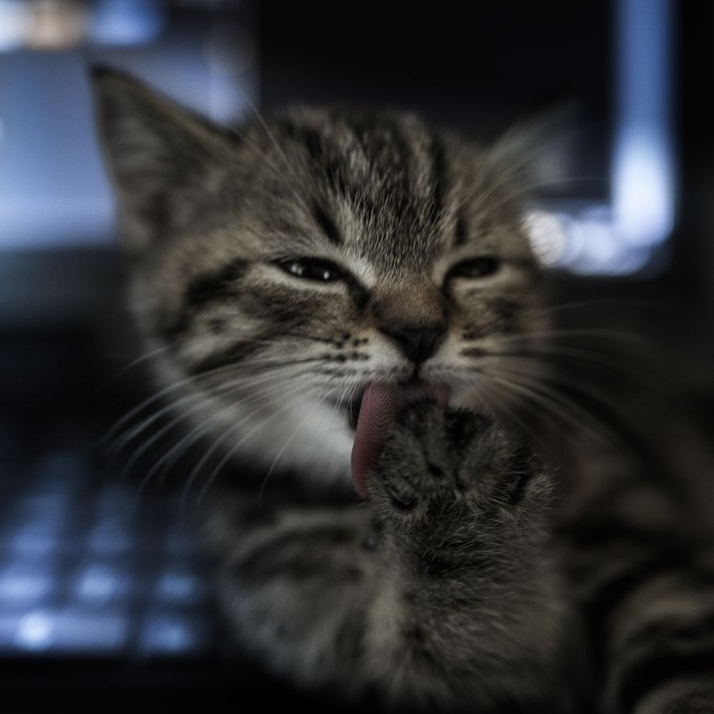 Фотография автора Рублёв Дмитрий