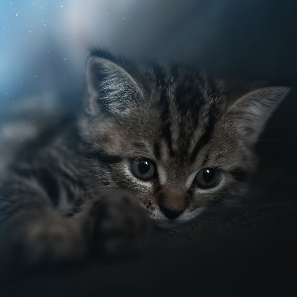 Фотография автора Рублёв Дмитрий