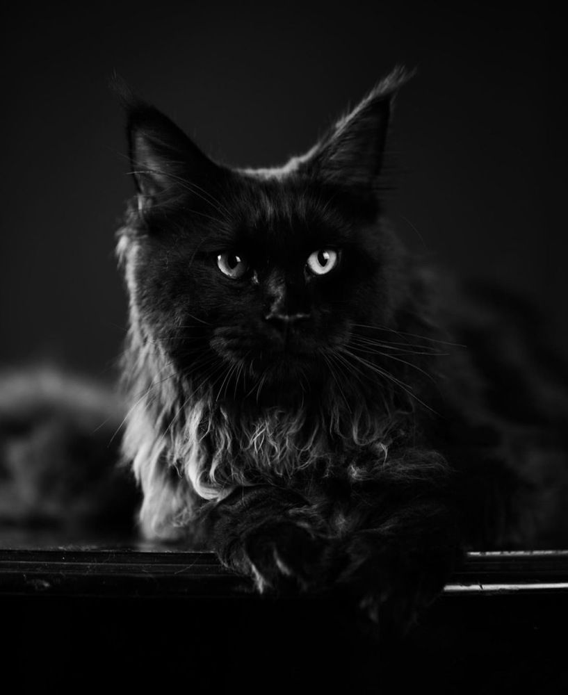 Photograph by Наталья Казачок
