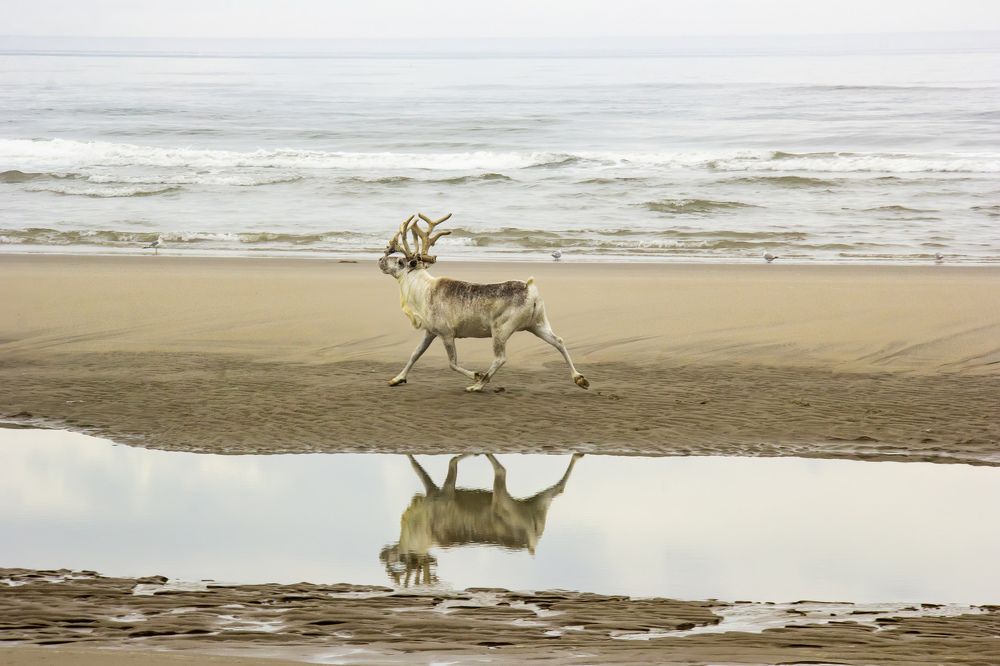 Photograph by Alena Poklonskaia