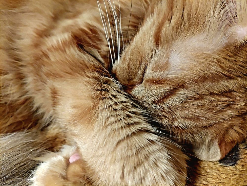 Photograph by Александра Куликова