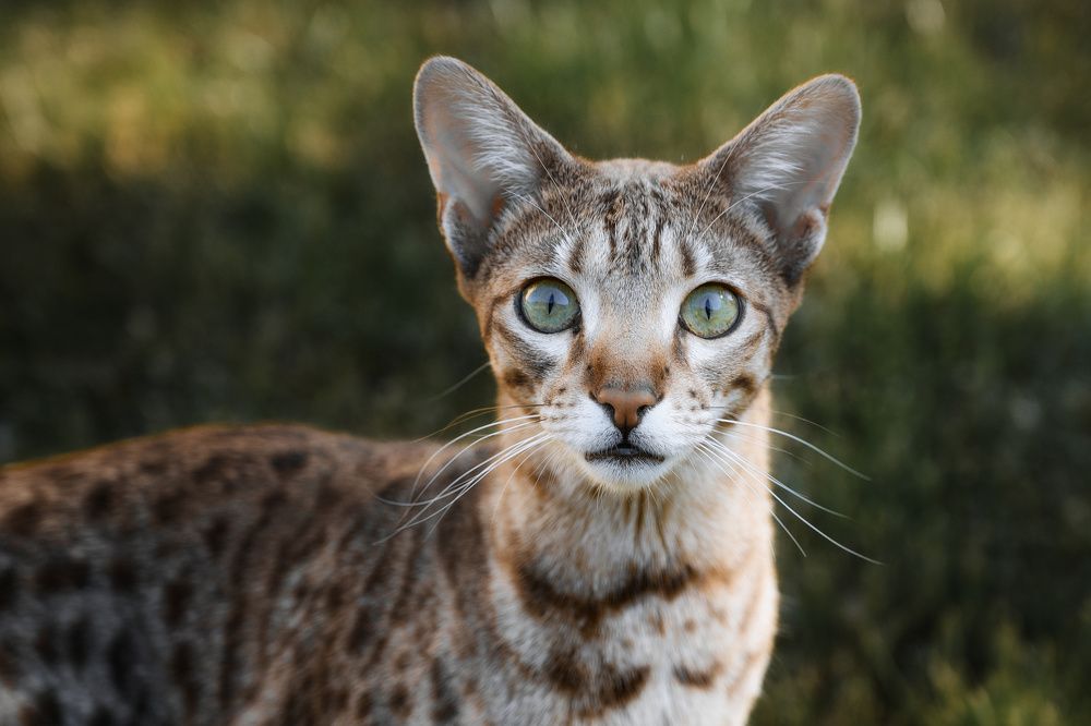 Фотография автора Валерий Лушин