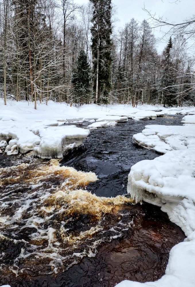 Photograph by Надежда Кудрявцева