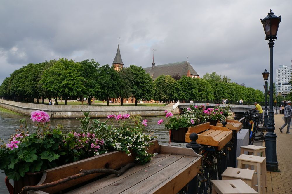 Прогулки по Калининграду...