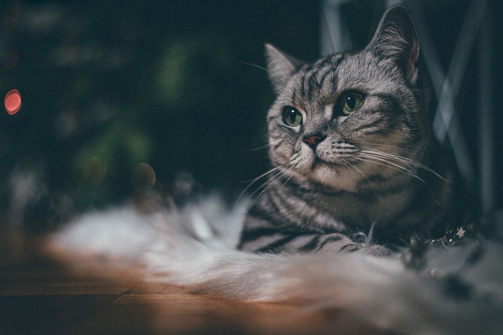 Photograph by Svetlana Soboleva