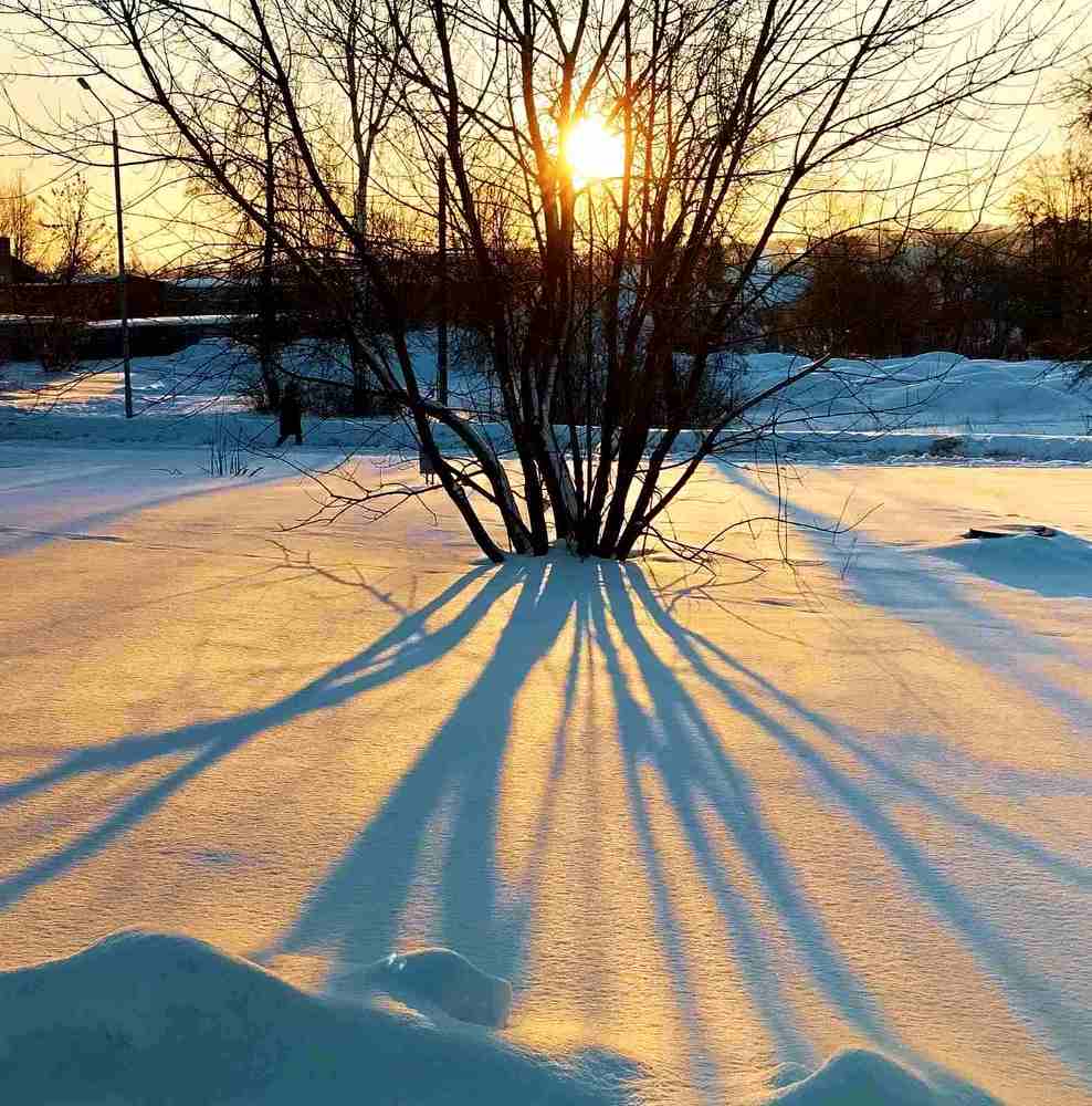 Фотография автора Галина Бобкина