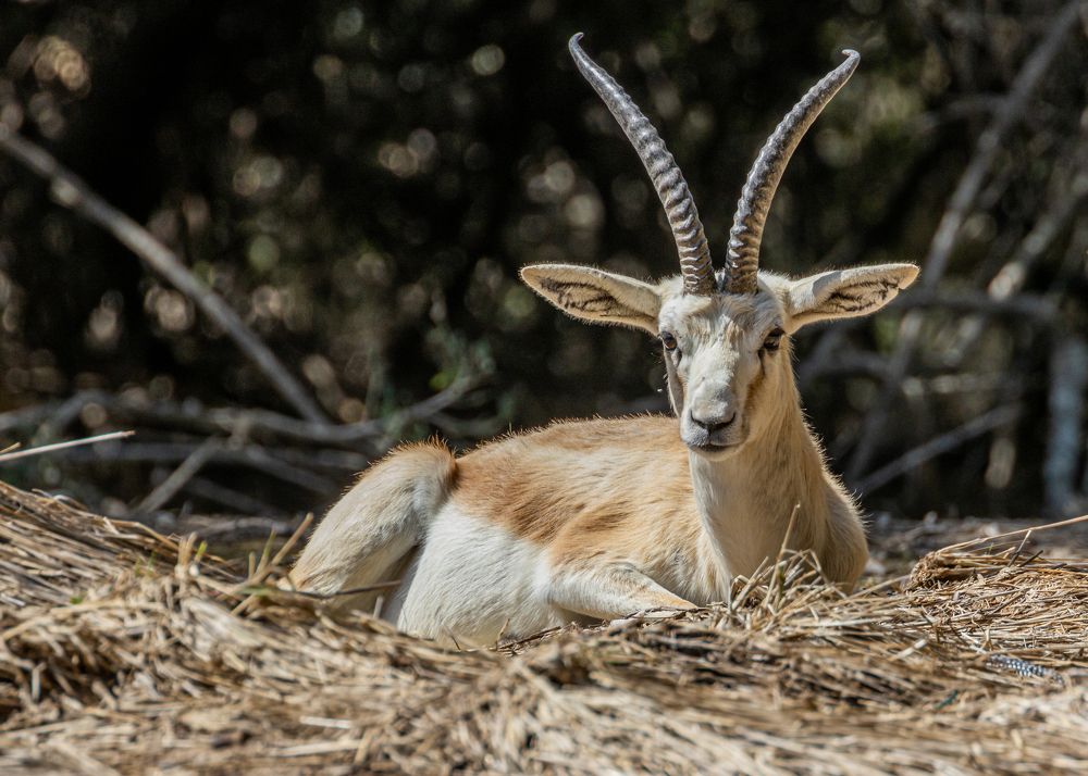 Photograph by Калинин Игорь