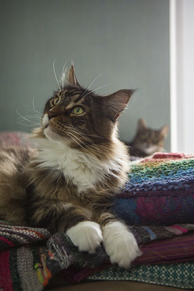 Photograph by Мария aka Марка Ферзь Шевцова