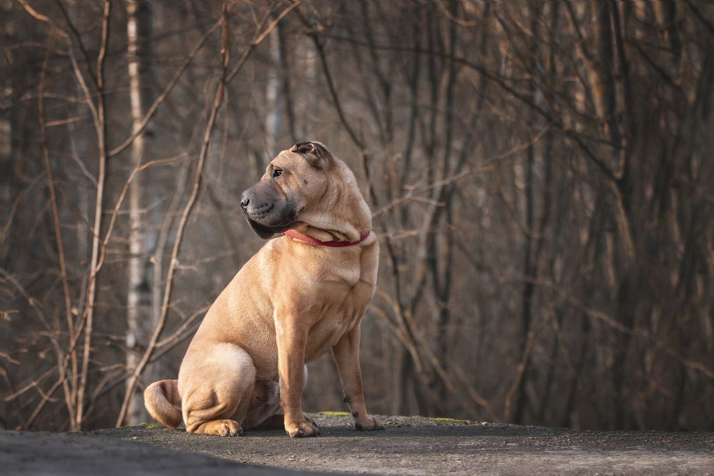 Photograph by Юлия