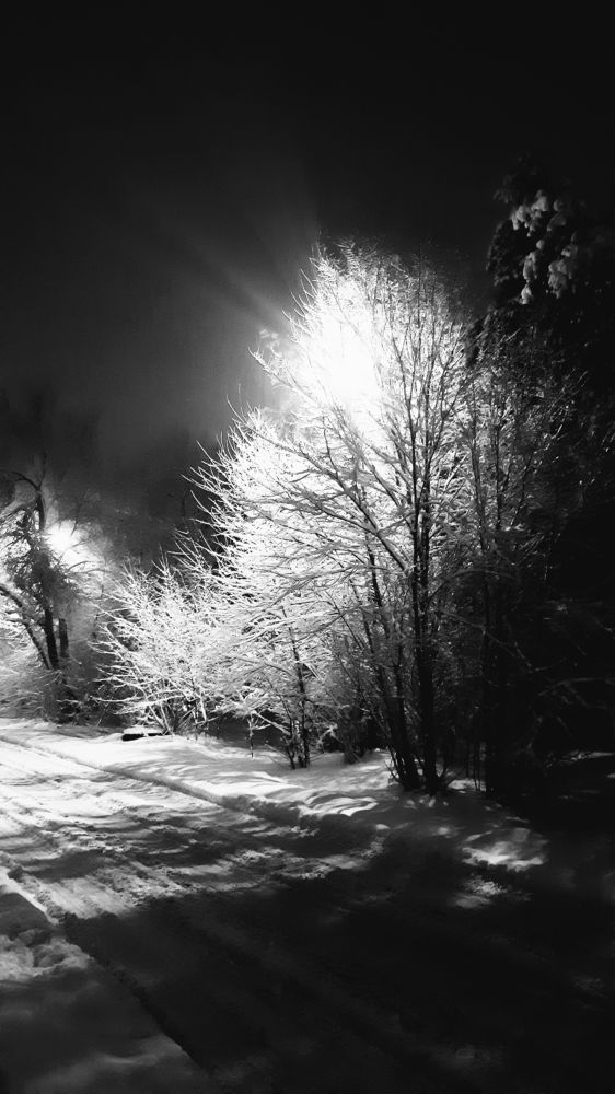 Photograph by Ольга Александрова