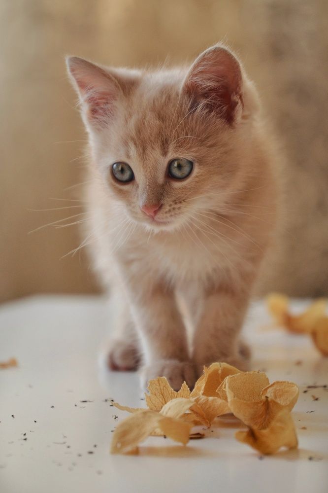 Photograph by Marina Gritchina