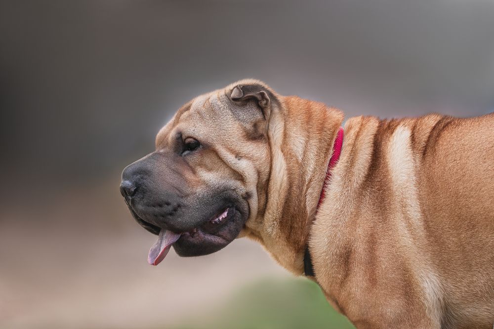 Photograph by Юлия