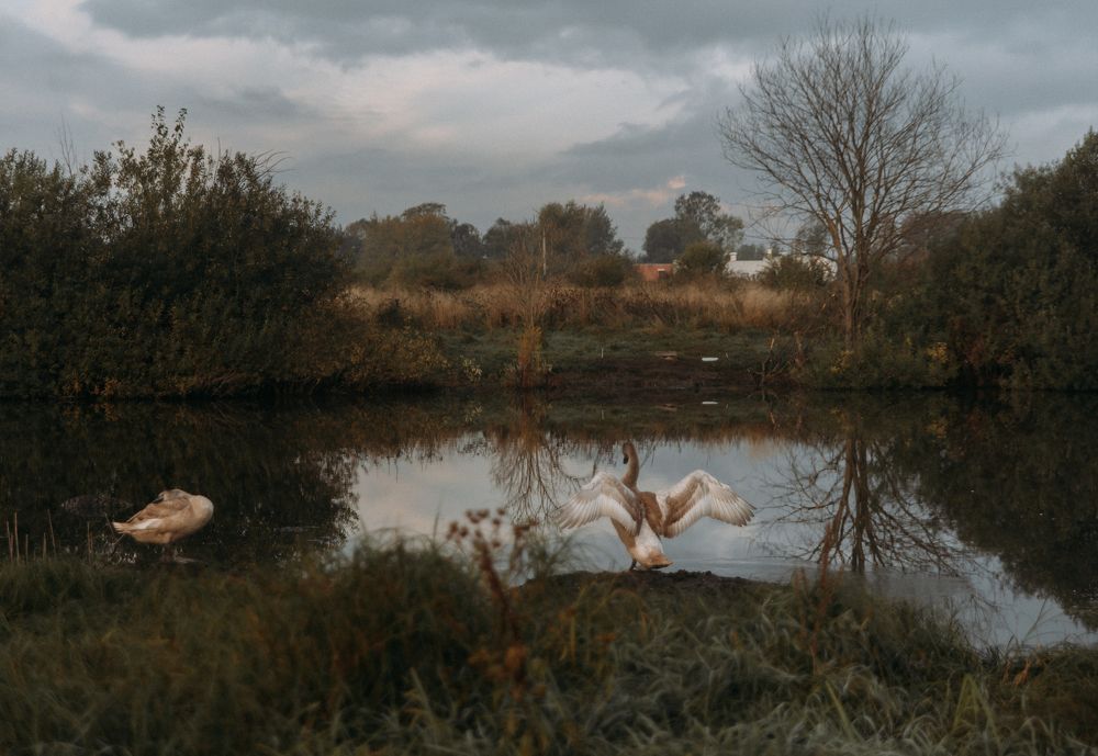 Photograph by Надежда Рязанцева