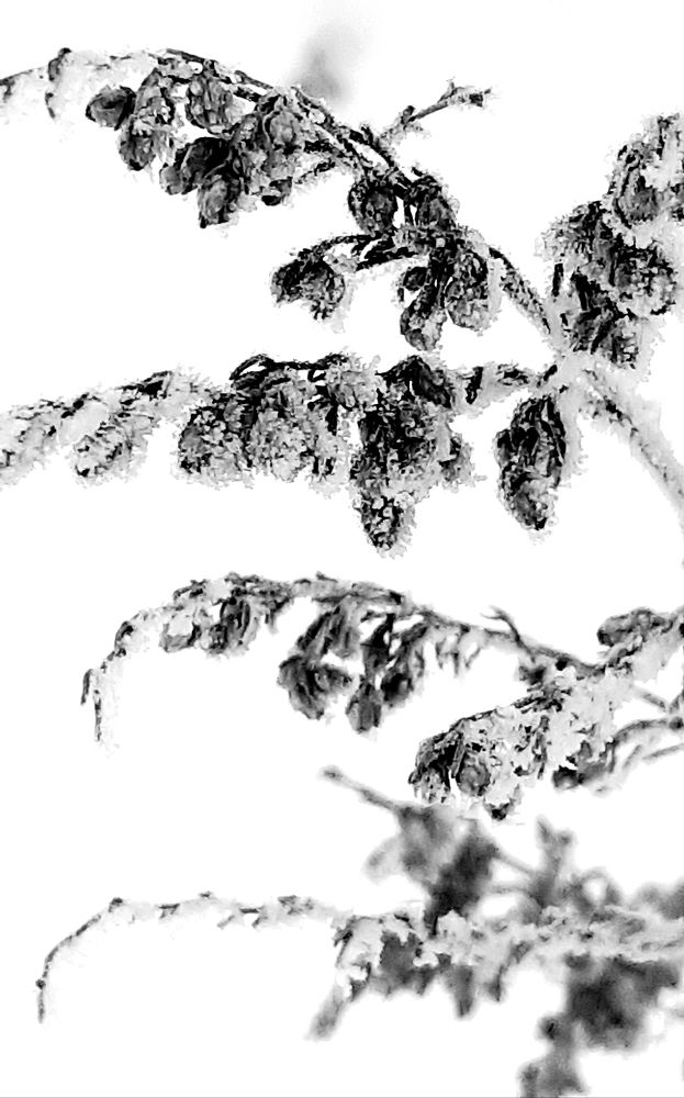 Photograph by Ольга Александрова