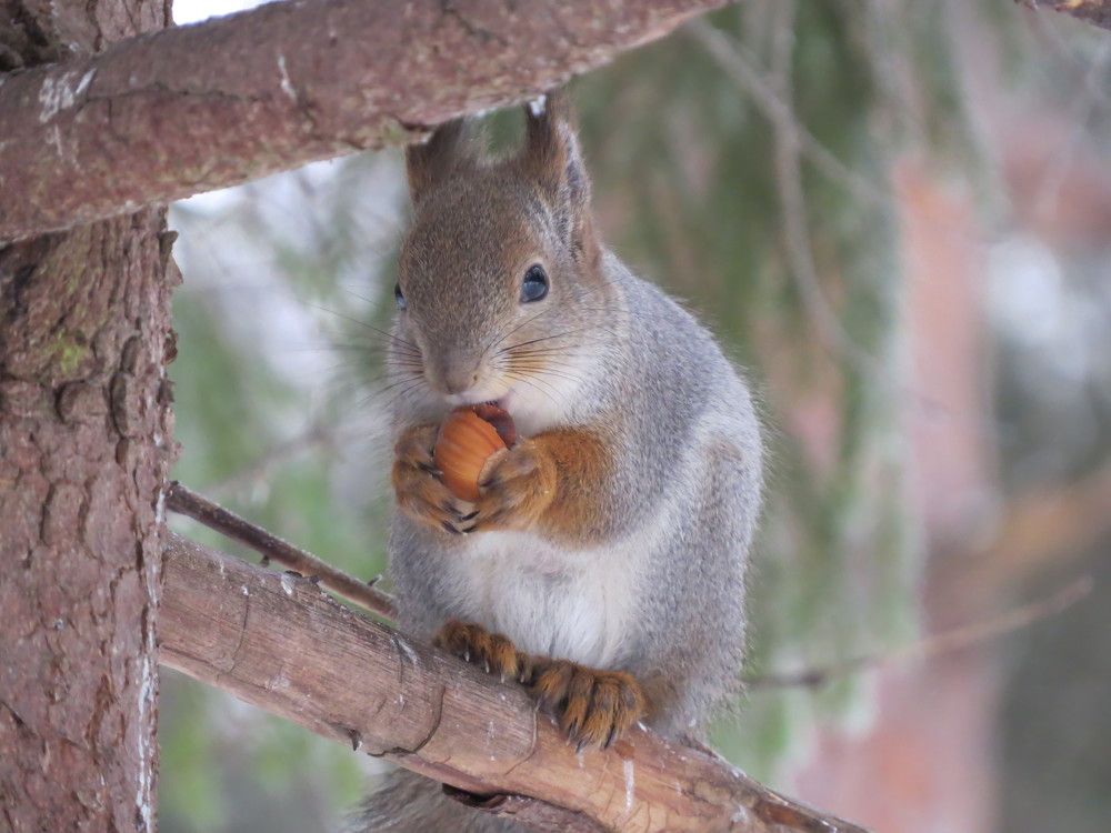 Photograph by Ольга Анисимова