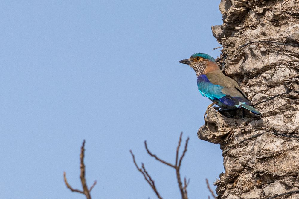 Photograph by Калинин Игорь