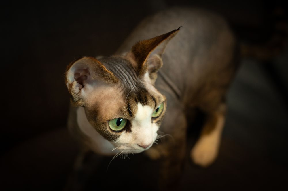 Photograph by Елена Иванова