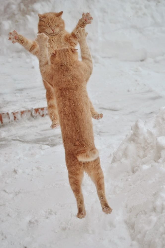 Photograph by Marina Gritchina