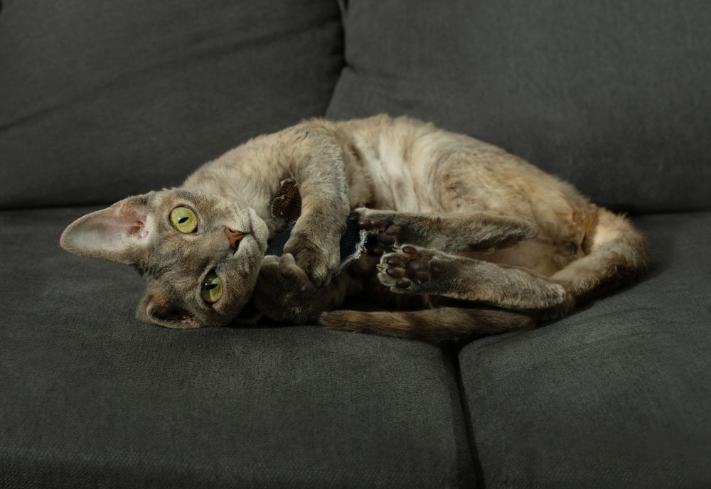 Photograph by Елена Иванова