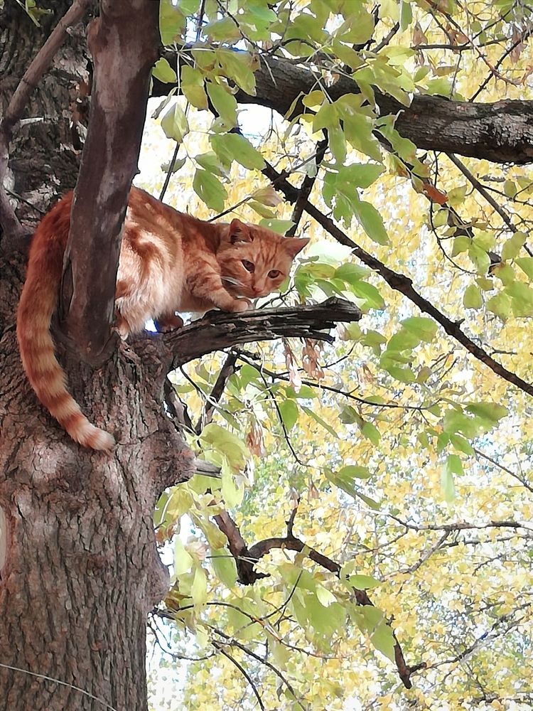 Photograph by Galina Novichkova