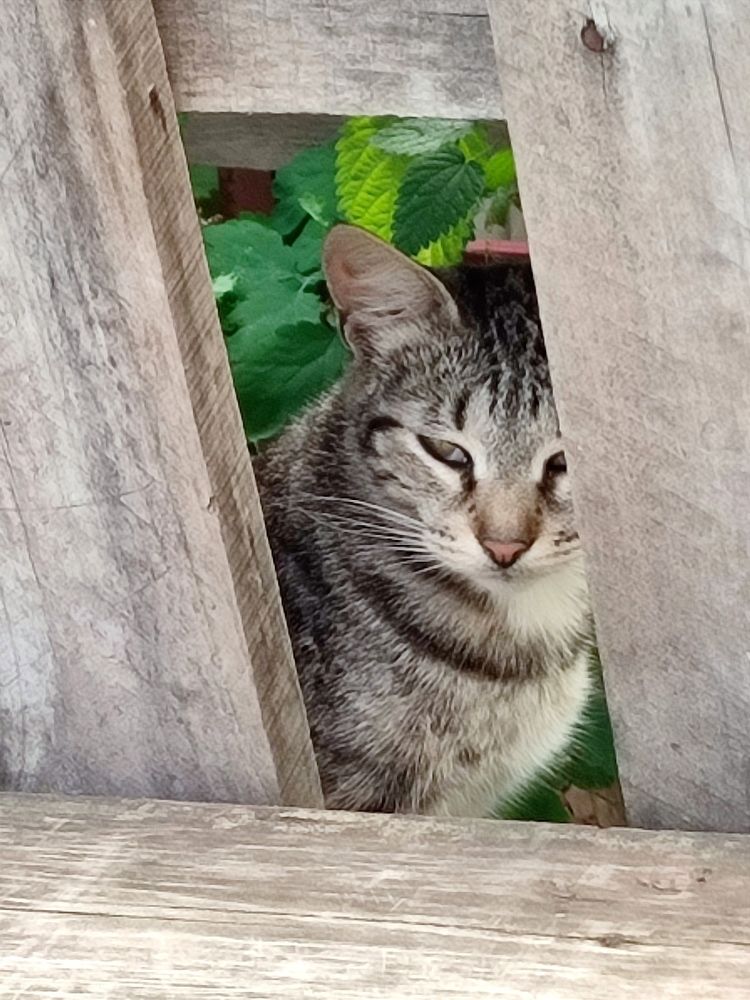 Photograph by Galina Novichkova