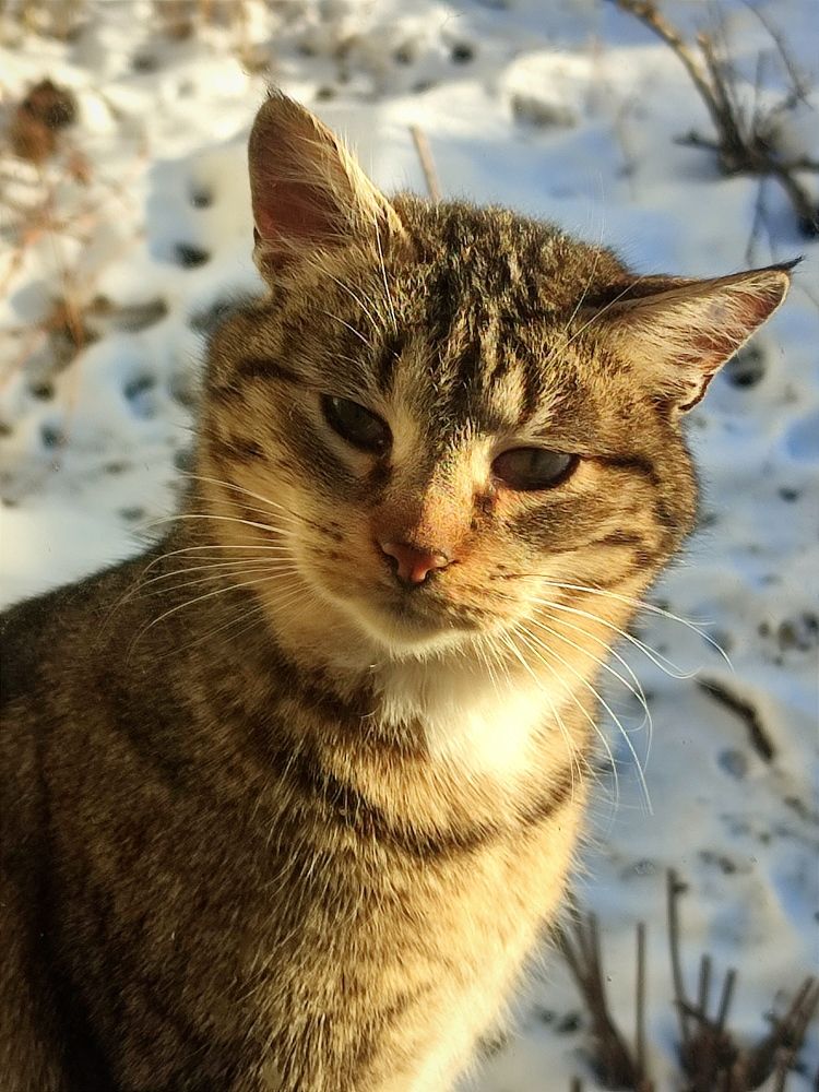 Photograph by Galina Novichkova